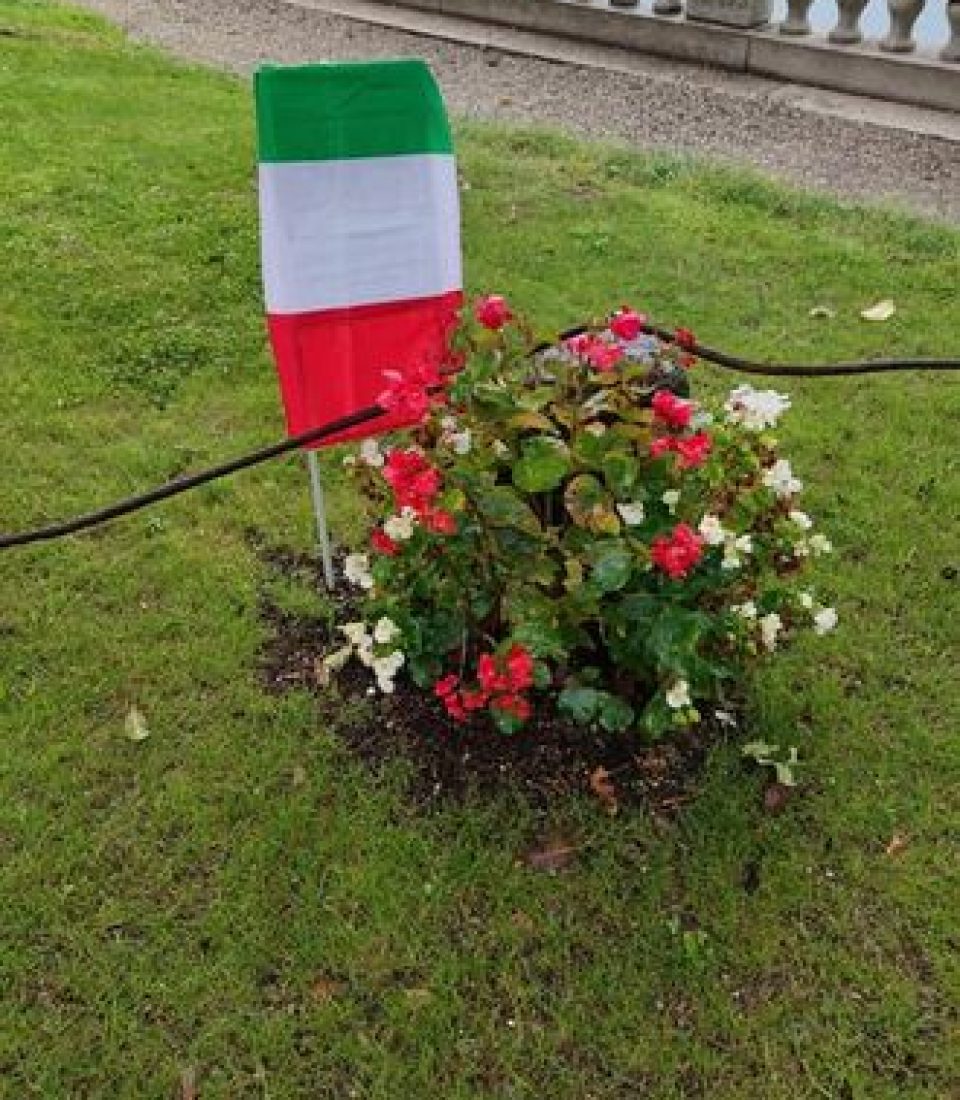 242592496_562475321646693_2621516404754968121_n