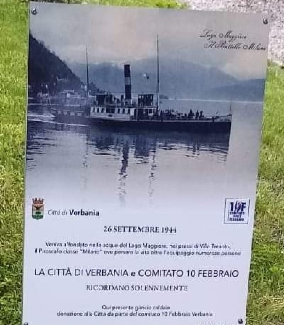 242868405_562517328309159_3342747554951546691_n